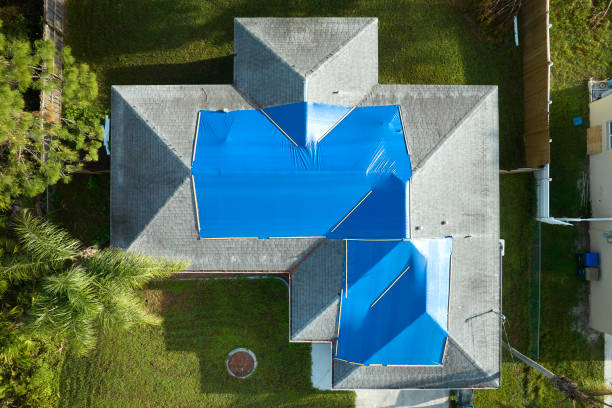 Best Asphalt Shingle Roofing  in Coal Grove, OH