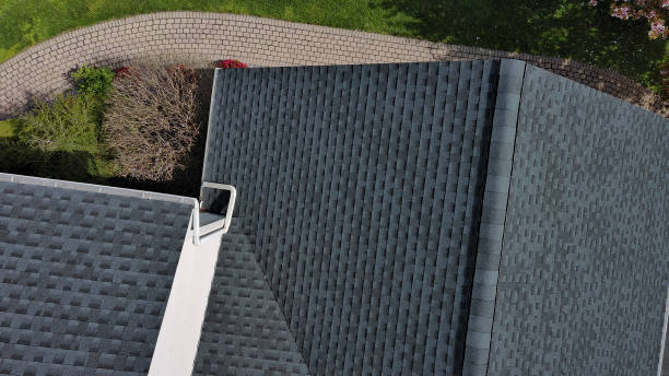 Best Skylight Installation and Repair  in Coal Grove, OH
