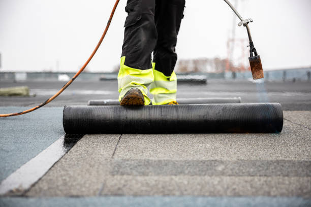 Best Roof Ventilation Installation  in Coal Grove, OH