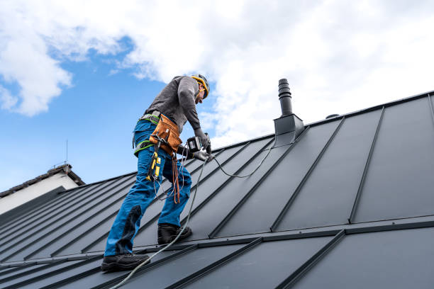 Best Gutter Installation and Repair  in Coal Grove, OH
